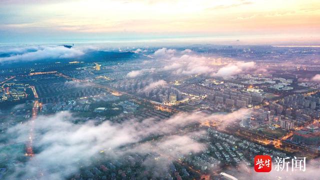 斬獲44項大獎！南京棲霞科創“多核發力”，交出高分答卷 - 