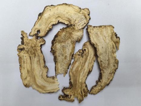 【藥師說葯】葯食同源的當歸有多香？燉肉、煮茶、煮雞蛋，冬天吃對才滋補