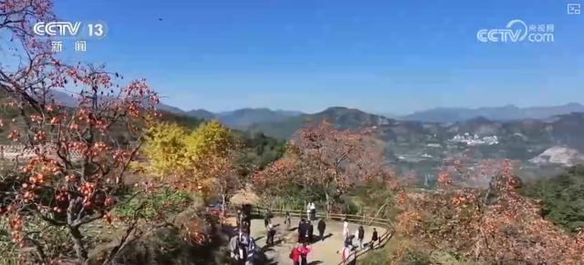 古人的“天氣預報”還管用嗎？用氣象大數據解析古人智慧總結髮現意外驚喜 - 