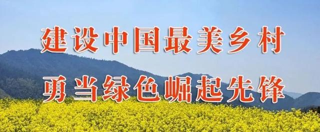 县委书记徐树斌在江湾镇人大代表联络站开展优化营商环境专题接待选民活动并督导重点工作