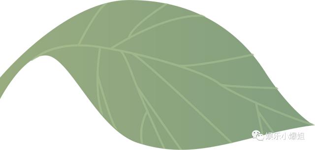 「重要提示」2022春晚周深彩排(央视2022春晚周深)