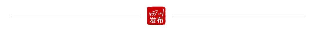 11月，四川省政府出台了这些重要政策