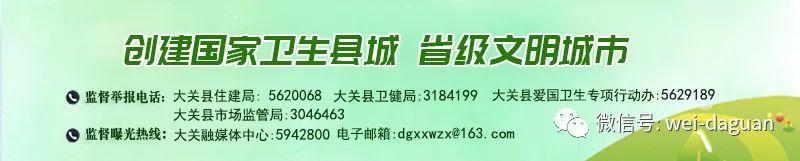 大关：“明前茶”茶香溢满城