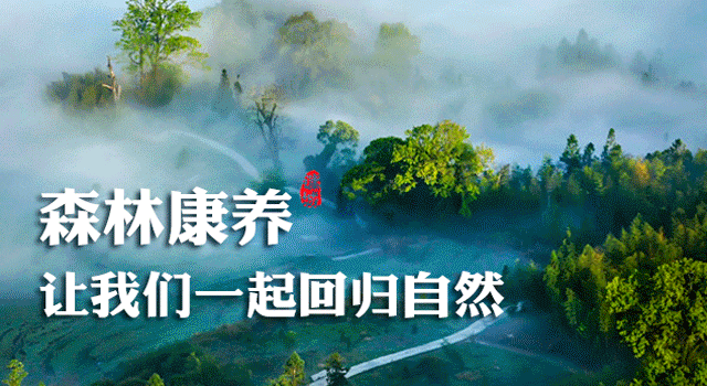 全闽乐购直播节：将乐县打响“山水将乐”品牌效应-奏响直播带货+“进行曲”！ | 工信之窗