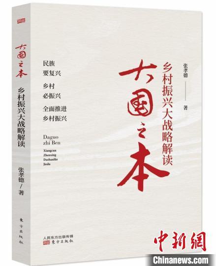 《大国之本：乡村振兴大战略解读》：全面详析乡村振兴