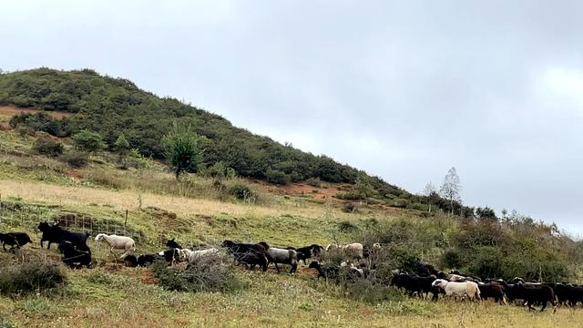 宣威螺旋洗砂机厂家