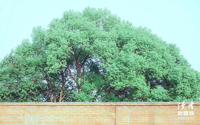 「记者曝光」了不起的盖茨比经典句图片_了不起的盖茨比在线阅读