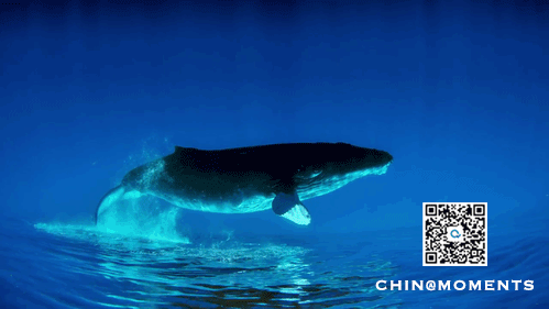 东莞，离万亿城市还有31天