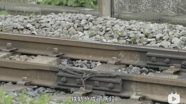 B站打出逆天9.8，这纪录片真让孩子大脑更灵光