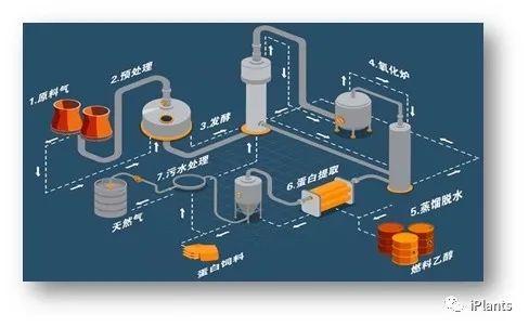 重大突破！中国农科院首次实现从一氧化碳到蛋白质的合成，并形成万吨级工业产能-第3张图片-9158手机教程网