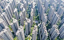 碧桂园服务：于今日九时正起短暂停止买卖