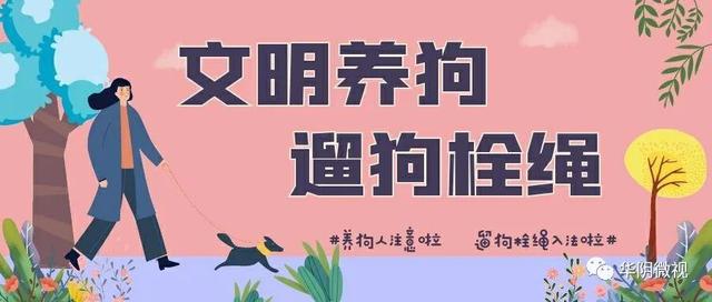 城镇企业职工养老保险参保单位注意，请于11月15日前完成养老保险申报和缴费