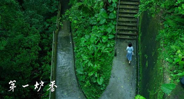 华天下沉香细支价格(南京香烟细支价格)