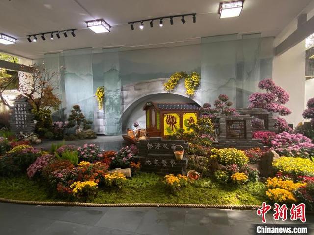 杭州印刷机械展