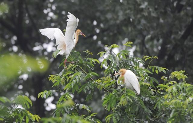 阜阳旅游