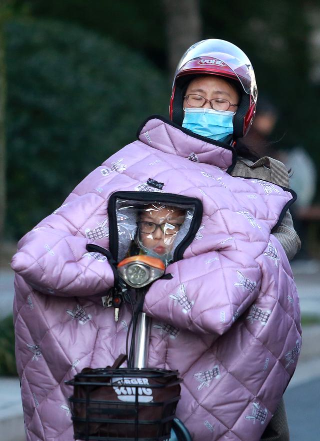 沈阳宠物交易网