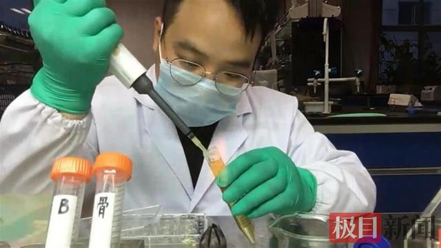 生物工程有毕业展吗