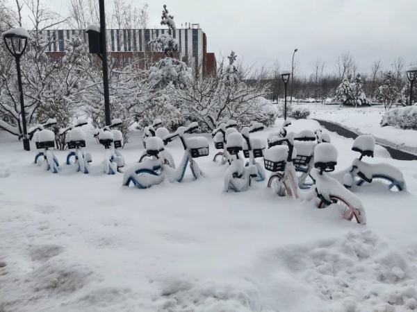 雪地靠喊找手机、阳台切“豆腐”、徒手敲车窗……东北这场罕见暴雪惊了网友