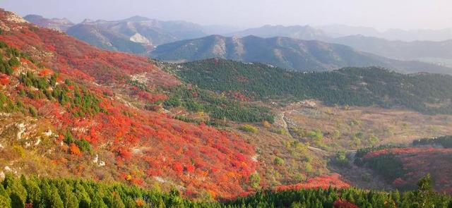 蚰蜒是什么（蚰蜒山风景区）