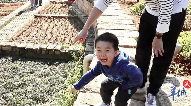 视频萌娃砍蔗记：来天河儿童公园体验丰收的喜悦