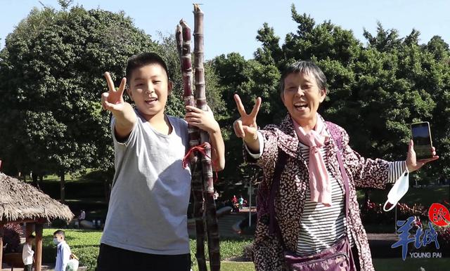 视频萌娃砍蔗记：来天河儿童公园体验丰收的喜悦
