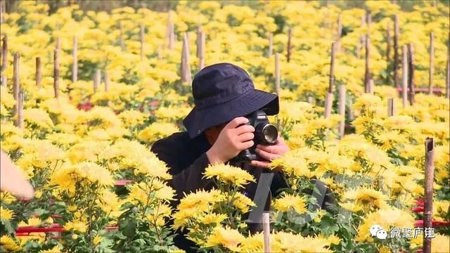 江门市广东山石制砂机器现场