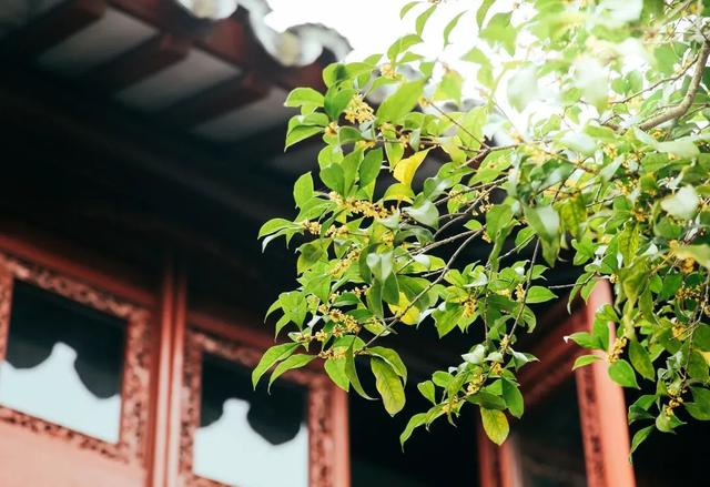 江门市广东山石制砂机器现场