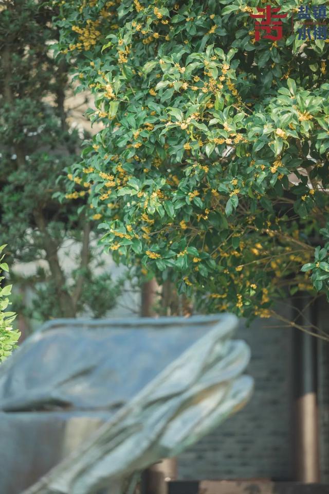 江门市广东山石制砂机器现场