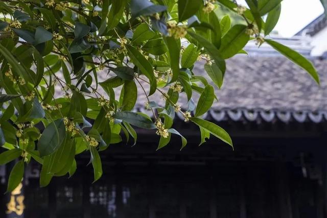 江门市广东山石制砂机器现场