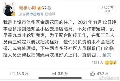 官方通报“隔离宠物狗遭扑杀”，记者对话当事人：事发后受到不小的压力