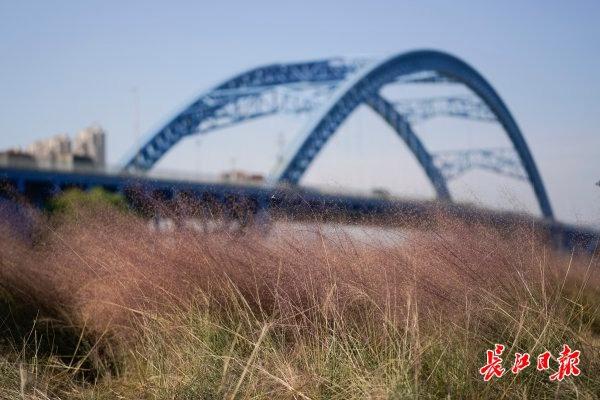 关于忘羡再生缘11一只漂亮的鹅卵石制砂机的信息
