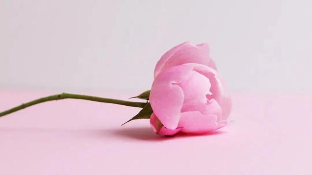 炎孕乳学校身体检测第2集