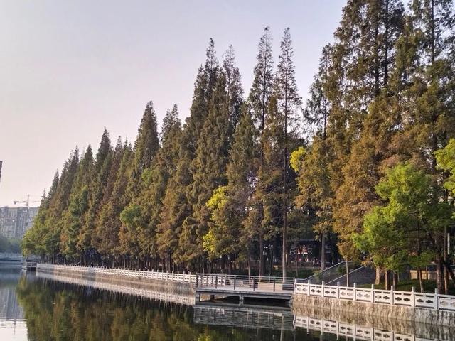 芜湖在建工程安展蔚然颐园