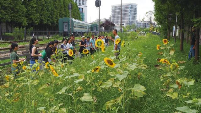 广西细沙洗砂机定制 广西细沙洗砂机定制