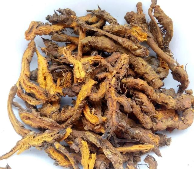 国医大师路志正：祛除湿浊经验二十三则