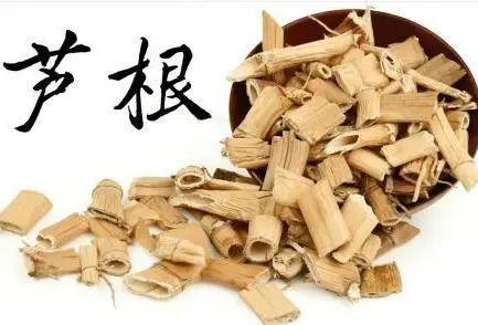 国医大师路志正：祛除湿浊经验二十三则