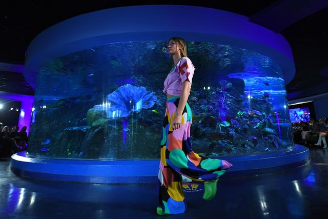 墨尔本：水族馆里的时装秀