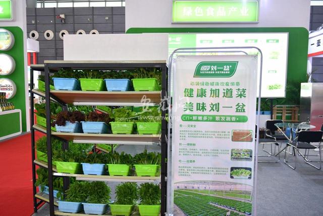 提前探馆机械展