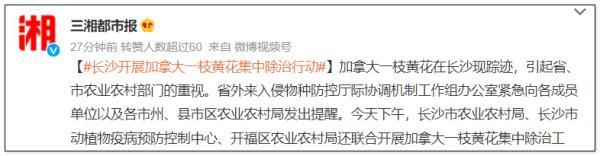 杭州轮斗洗砂机品质优良