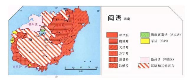 东北候鸟，海南过冬