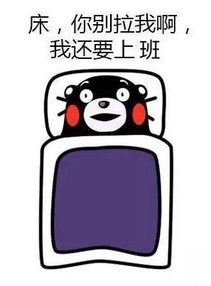 天冷不想起床？可能是你的身体在自救！这个冬天，给你一个赖床的理由