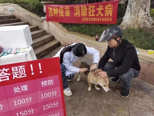 猫有狂犬病吗