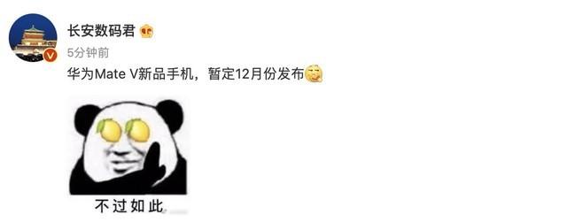 华为翻盖折叠新机或为Mate V！12月发布