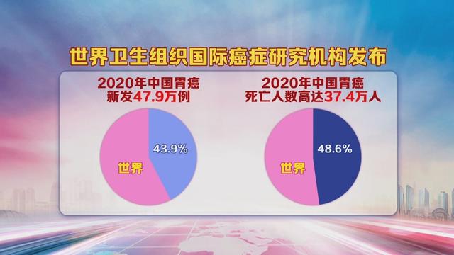 17:25《养生堂》播出——寻找护“胃”特色药