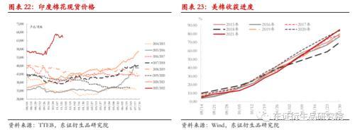 棉花：变异新冠病毒担忧情绪打破郑棉僵持局面