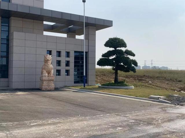 河北省新型锤式制砂机