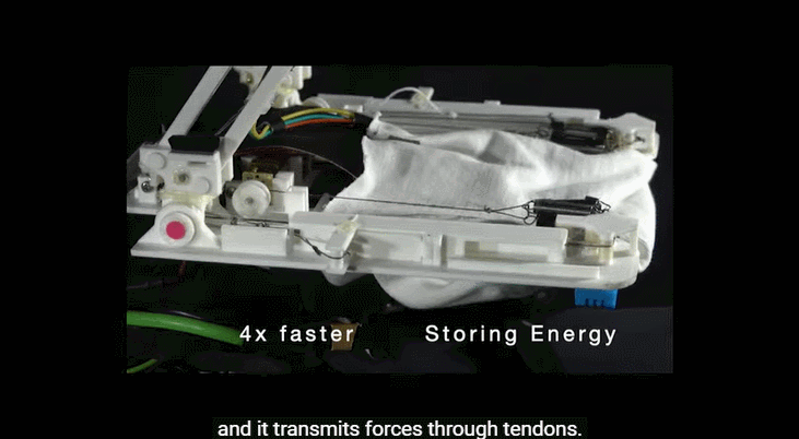 斯坦福发明“长腿”无人机！等比例模仿猎鹰，能空中抓球、树上栖息