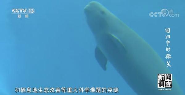 上海沙包土洗砂机厂家