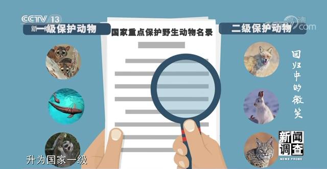 济南沙包土洗砂机厂家
