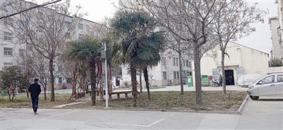 民生工程抓得紧老旧小区展新颜